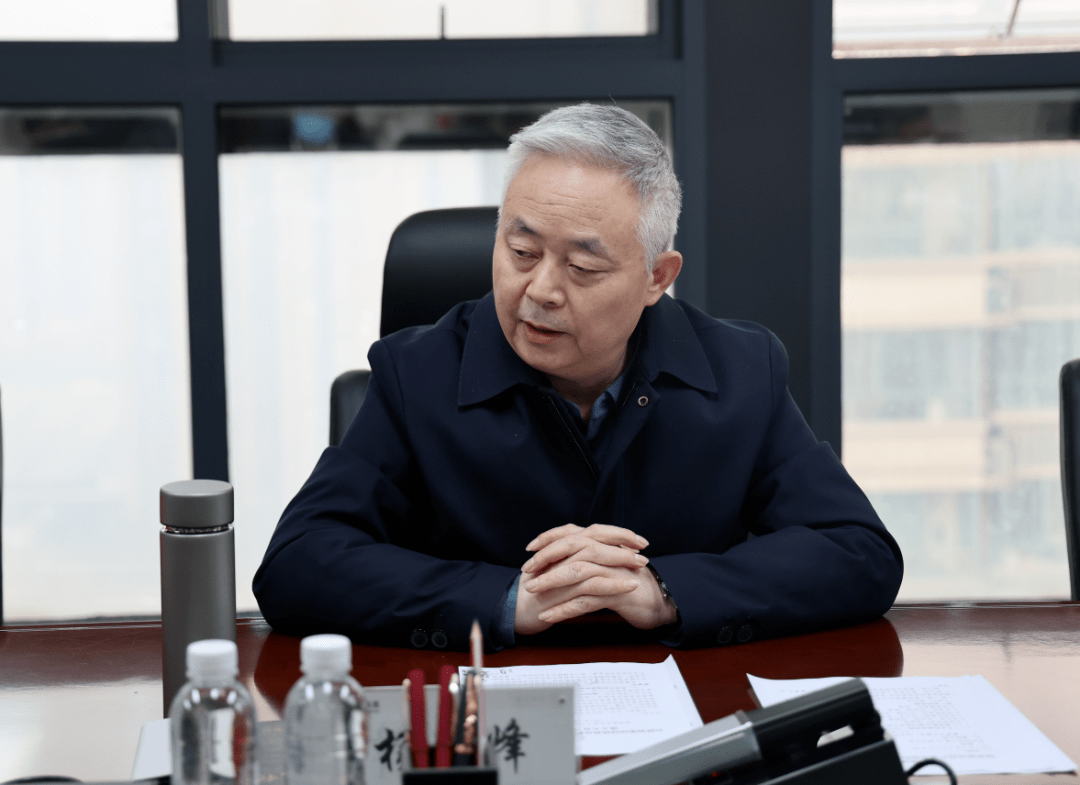 杨海峰对镁铁钒钛耦合发展提出新要求