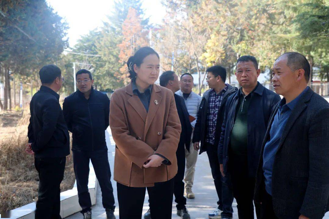 【玉龙头条】和秋珍率队调研县域重点项目推进情况