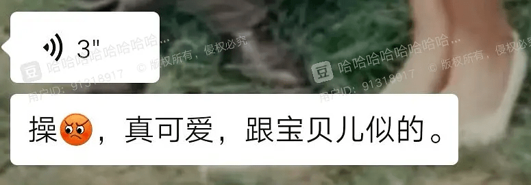 当我妈一边用手机听小说一边给我发语音