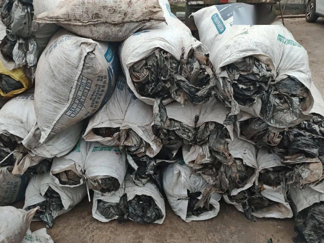 【生态文明】景谷:废旧地膜回收推动农业生态环境治理