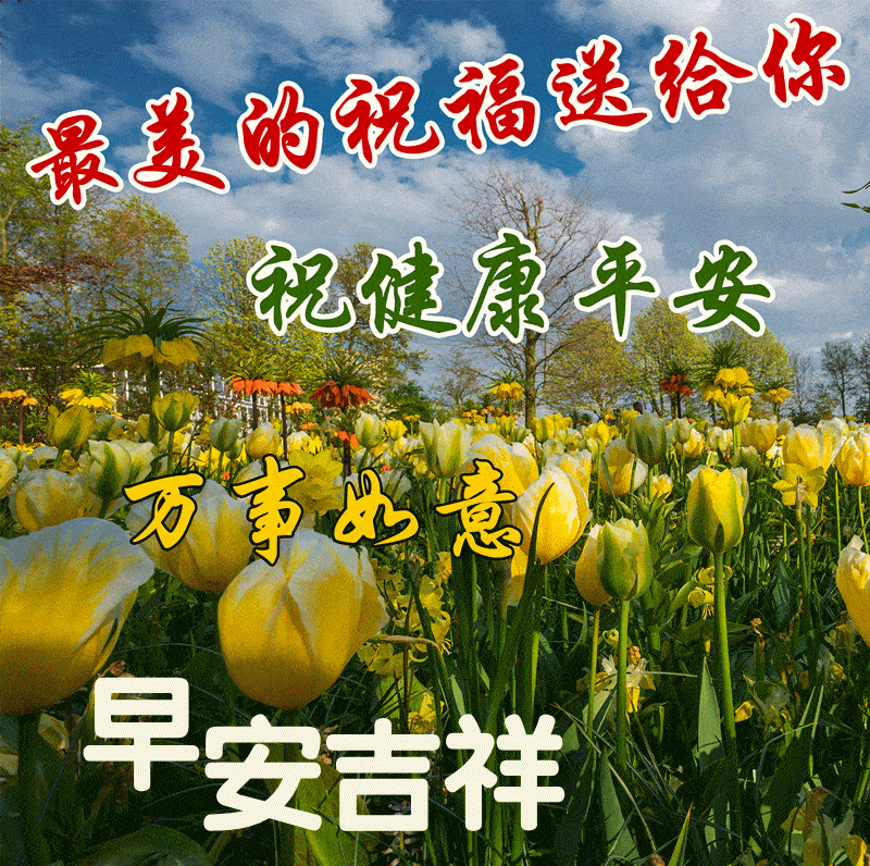 2月9日最新早上好动态表情图片大全,早晨好动图美图大全!