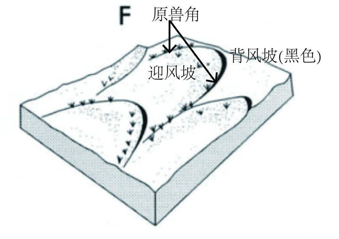 高考地理中的五种沙丘_教学_课时_设计