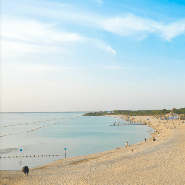 洪泽湖湿地公园 沙滩图片