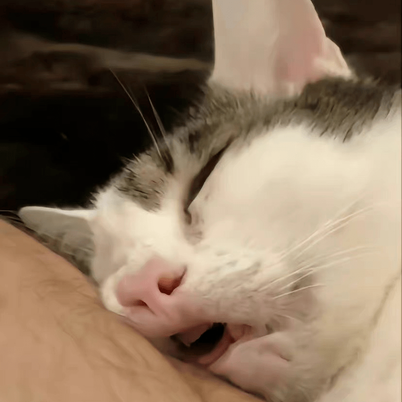 头像| 一旦遇见,一眼万年_侵权_网络_好朋友