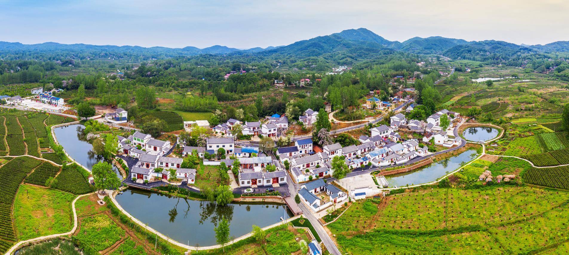 浉河区高端网站建设_(瀍河区政府周边综合开发项目)