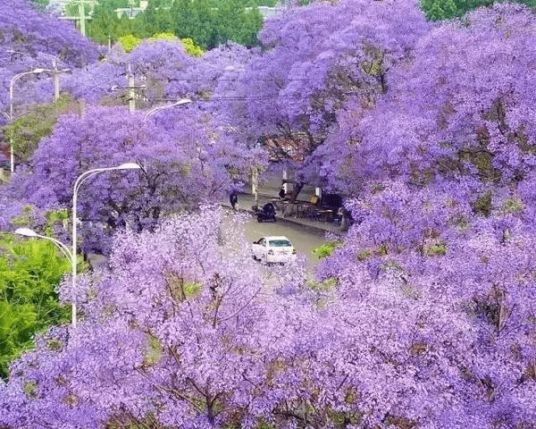 四川那座隐匿千年的古城，偏安一隅，却比你想象中更美100倍