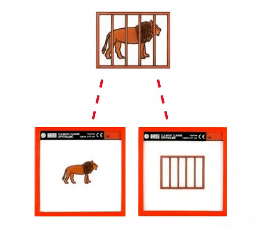 同视机视功能检查_画片_视角_患者