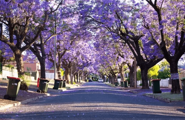 四川那座隐匿千年的古城，偏安一隅，却比你想象中更美100倍