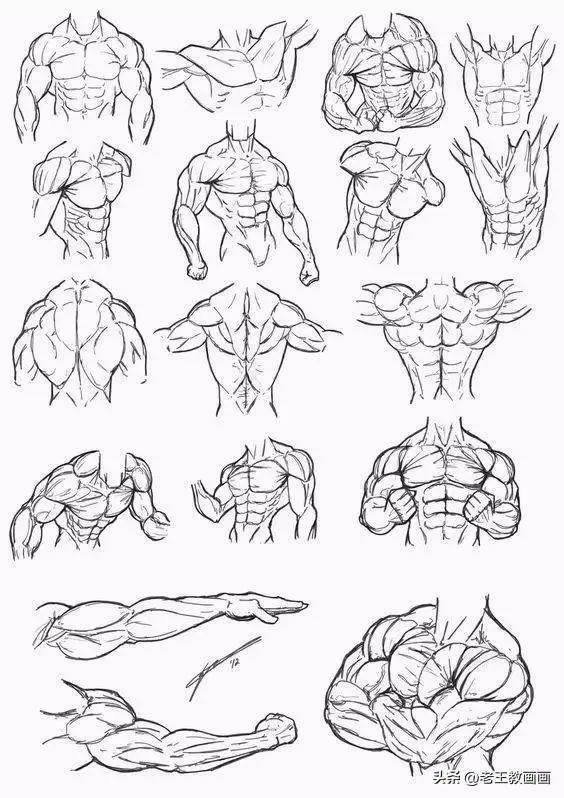 1000个人体速写临摹图