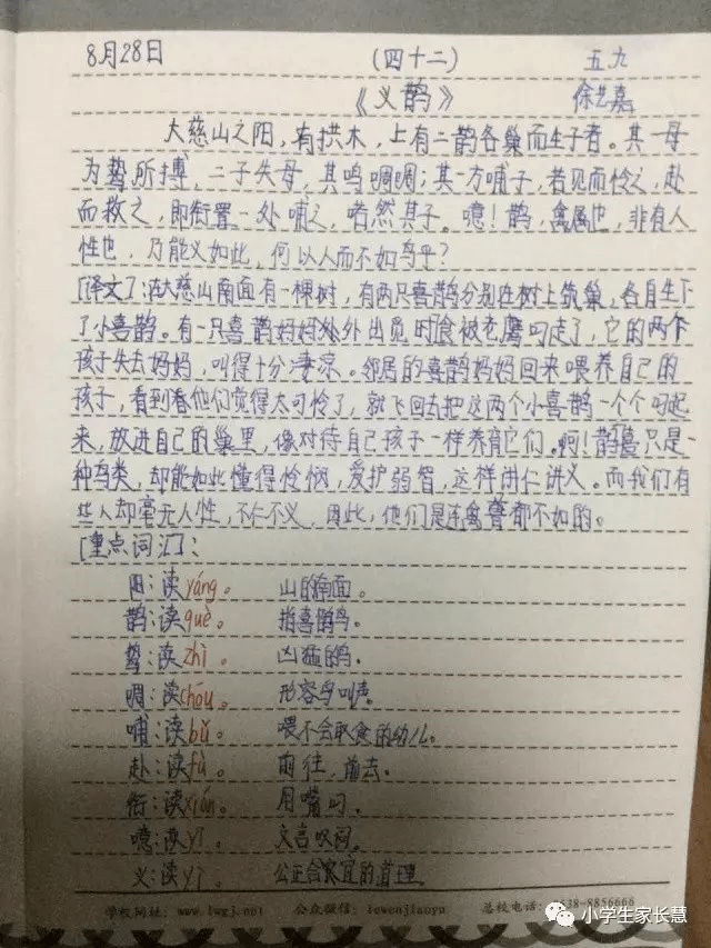 义鹊小古文图片