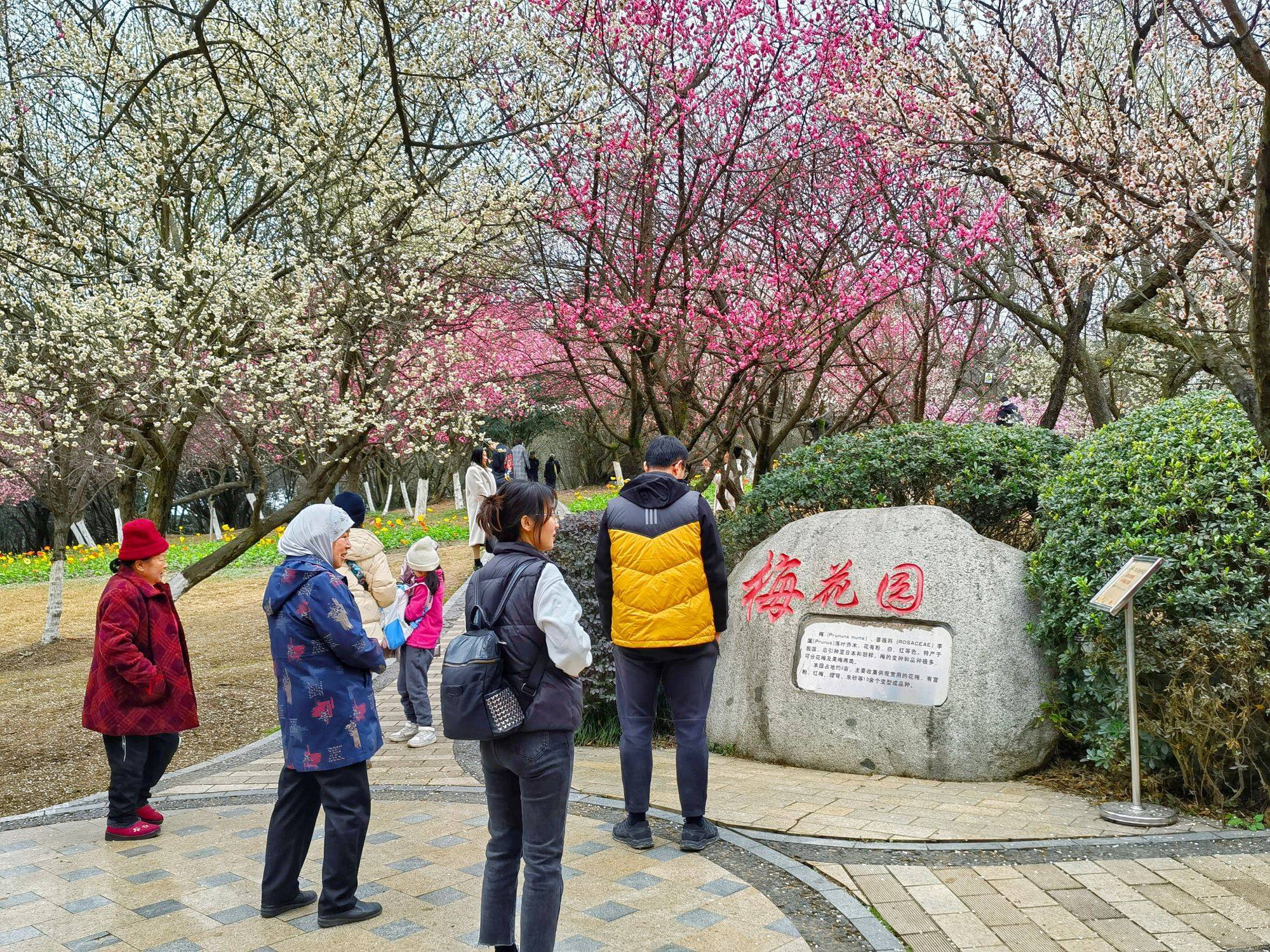 赏花合理时 到成都会动物园相逢春色