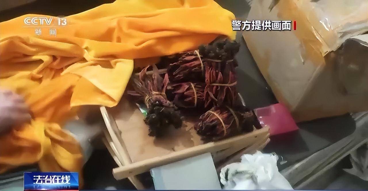 一包药粉卖2000多元 那个盘踞车站的立功团伙被警方摧毁