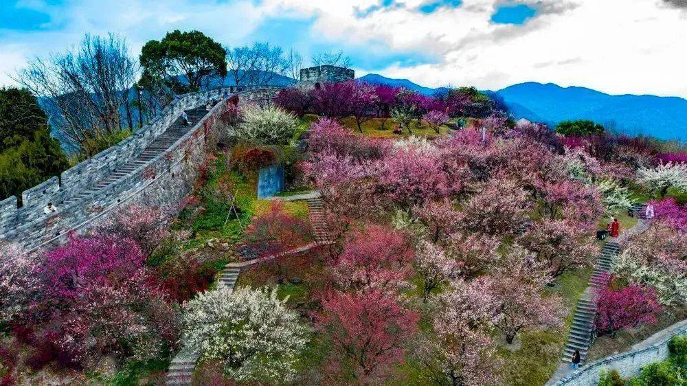 18 周六 遇见梅花盛开的长城,临海江南古长城徒步 紫阳古街 东湖一日