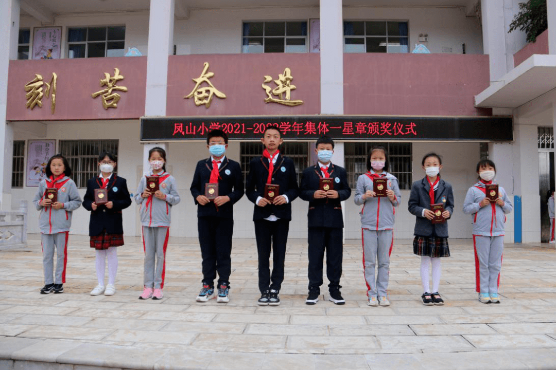 ①|全国优秀少先队集体澄江市凤山小学少先队大队_工作_教育_少先队员