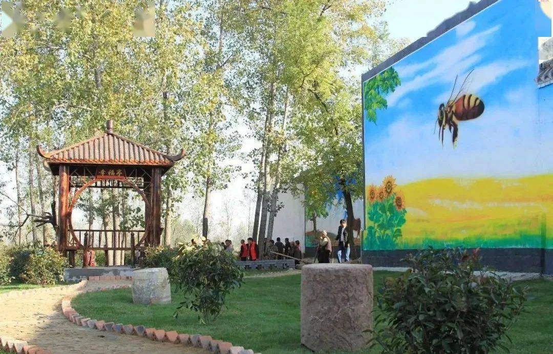 叶县仙台镇这项工作被全省通报表扬_整治_行动_农村