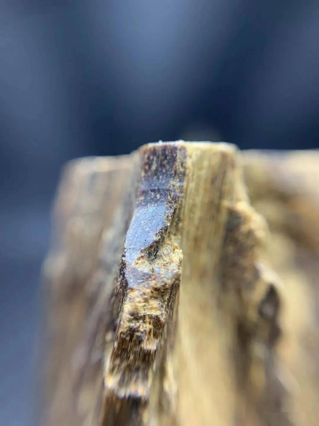 顶级越南沉香的特征与辨别!_香味_黑土_红土