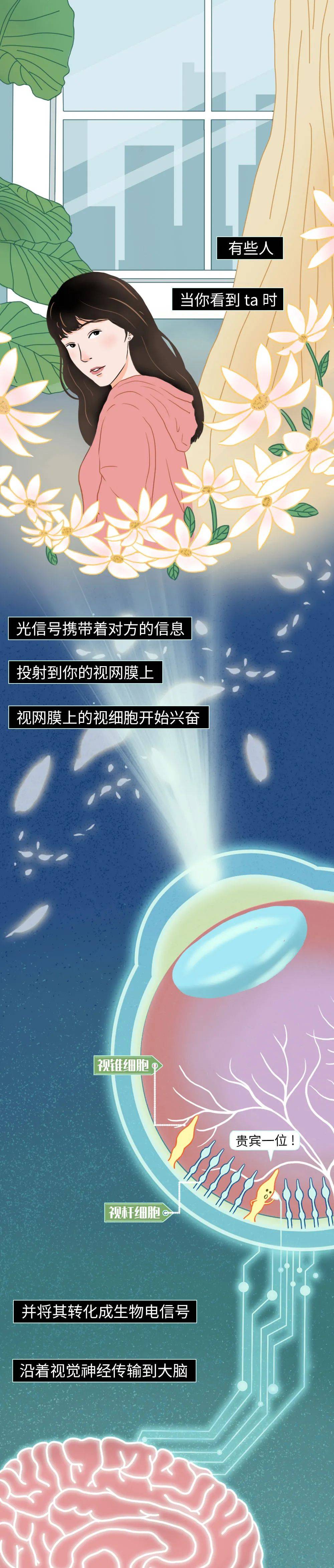 陷入爱情时真实的生理反应(单身勿看)_肖小_cc_科研
