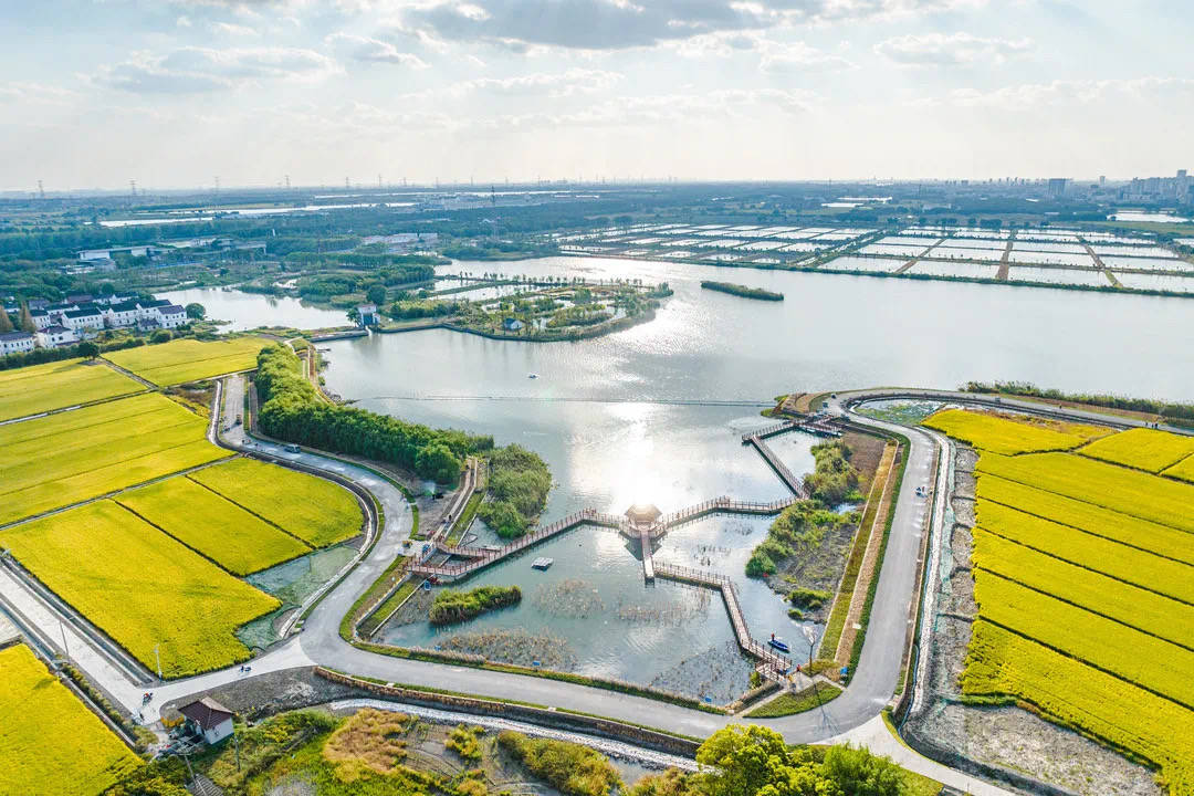 一体化新探索！全国首个跨区域公共资源交易目录正式实施_示范区_发展_长三角