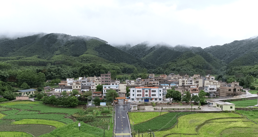 高质量发展看佛冈 | 高岗镇:抢抓"工农旅"发展机遇 坚定不移走"绿美