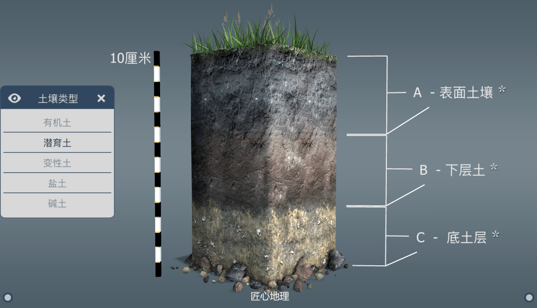 潜育层图片