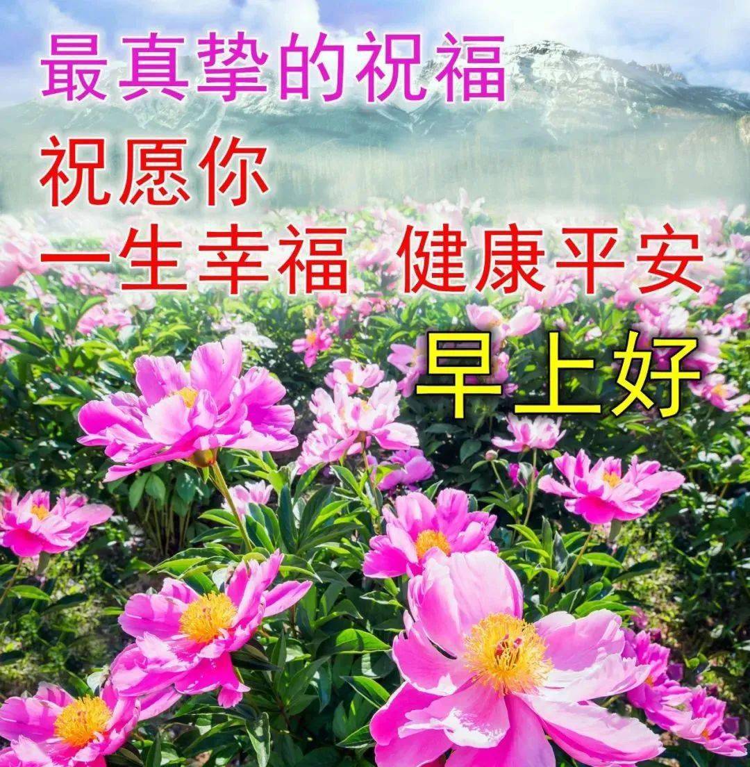 最新早上好动态表情包,春暖花开,万事胜意!_生活_人生_经历