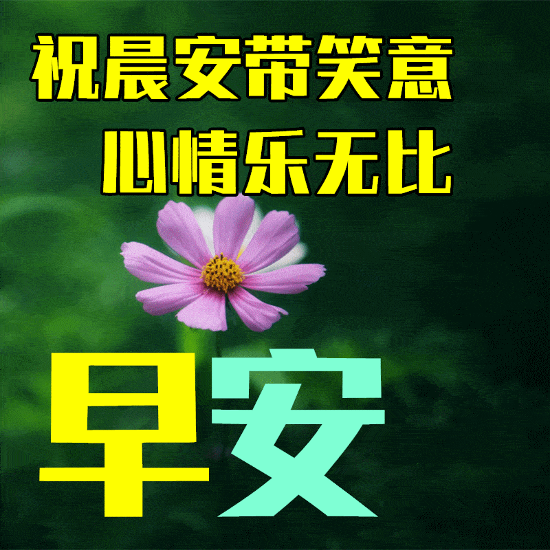 2月16日早上好祝福语图片大全,问候动态表情图片大全!