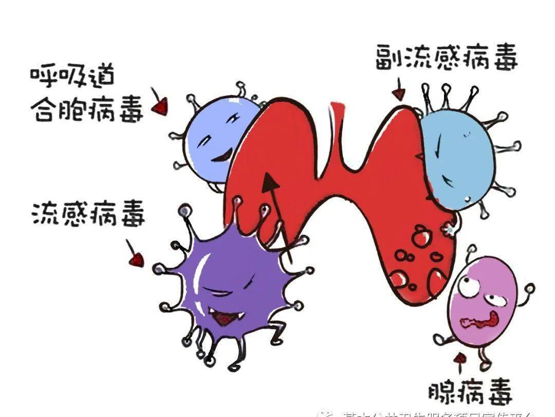 中疾控提醒!这种病毒,处于高发季节!