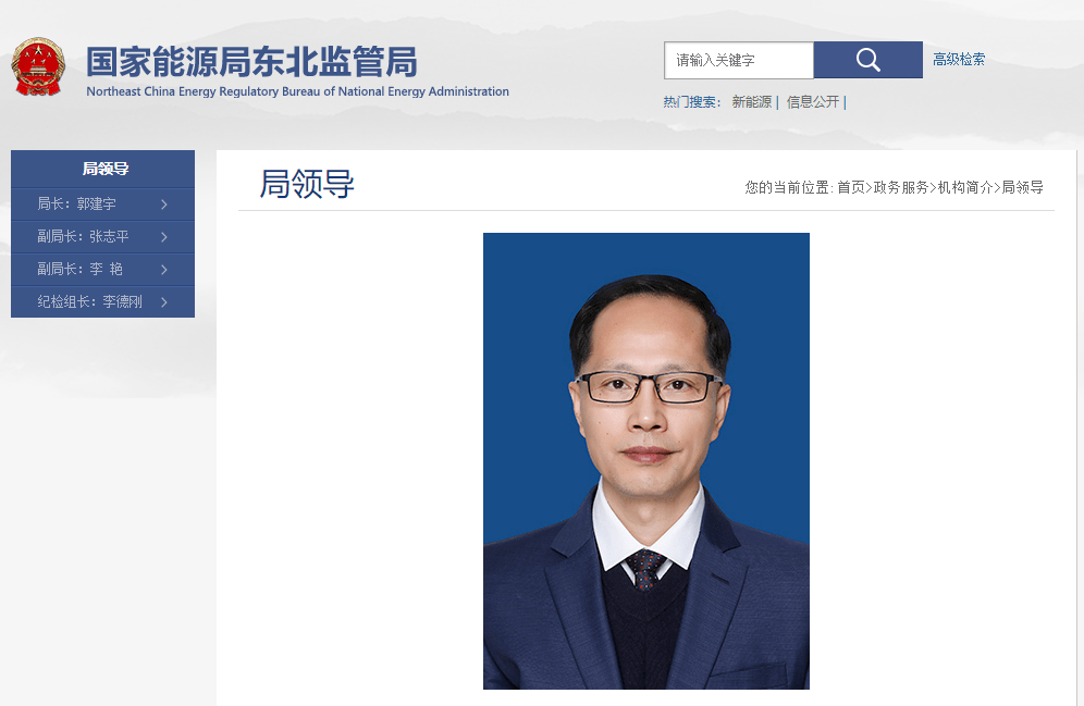 国家能源局局长图片