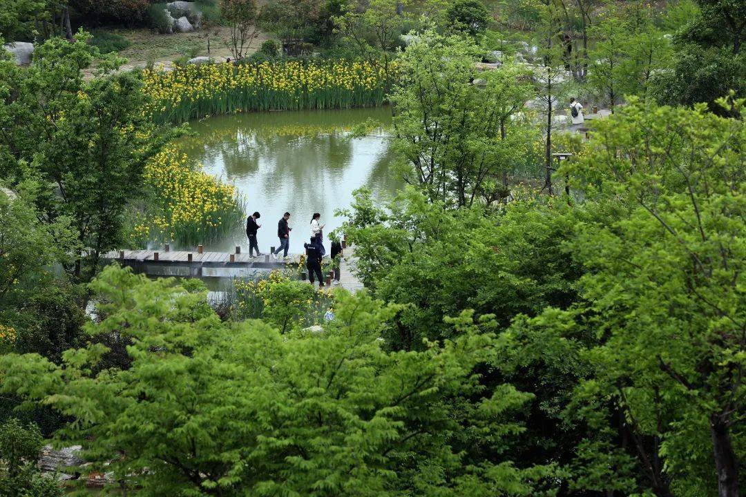 沭阳县韩山公园图片