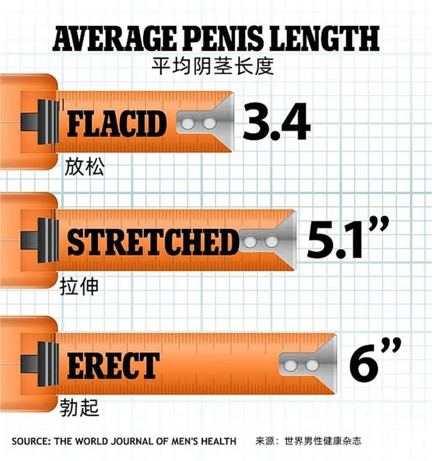 美国男性“丁丁”过去30年增长了1/4，或与接触有害化学物质有关（二手古驰皮带能卖多少）