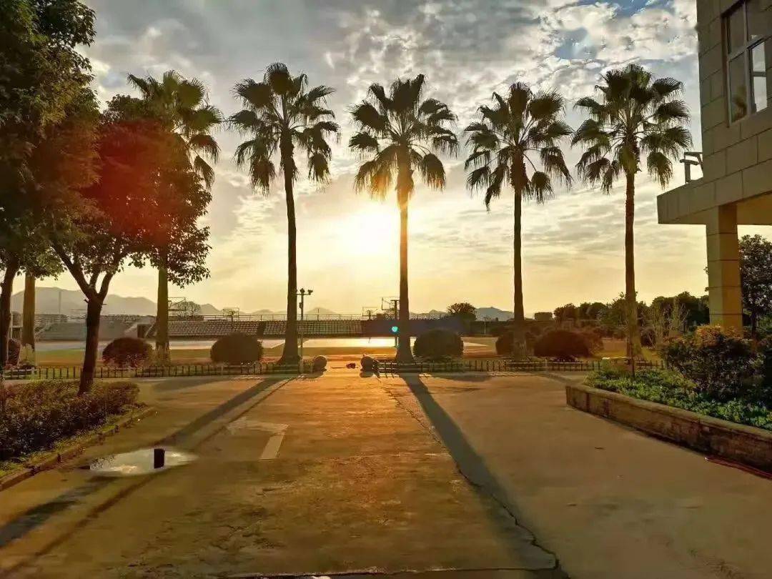 感恩母校行(147)|走进浙江省龙港市江南高级中学_进行_活动_视频