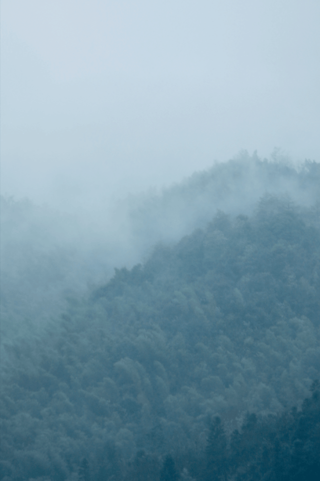 被《满江红》讹用的《一剪梅》，写出了南宋词的底色，也写出了南宋人的心事