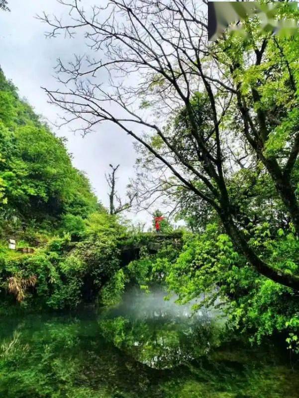 来祁门,我"氧"你!_旅游_安徽省_景区
