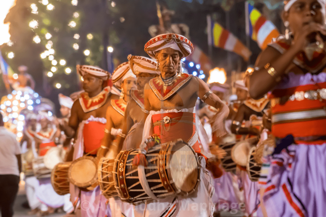 斯里兰卡康提"佛牙节"游行庆典,"提前"在2月举办!时隔30多年没办过了!