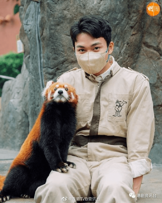 谦虚性格反被误认世界仔!tvb最受捧小生曾经迷失变嚣张