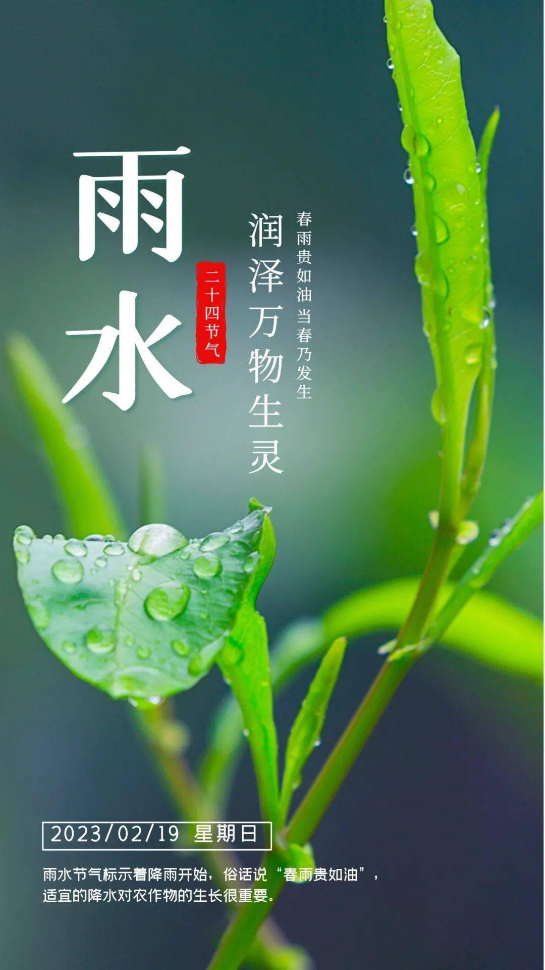 2022年雨水祝福图片图片