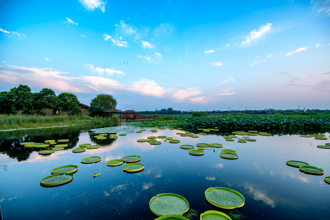 湿地公园苏州大阳山植物园中国刺绣艺术馆更多免费景区请至景区官微