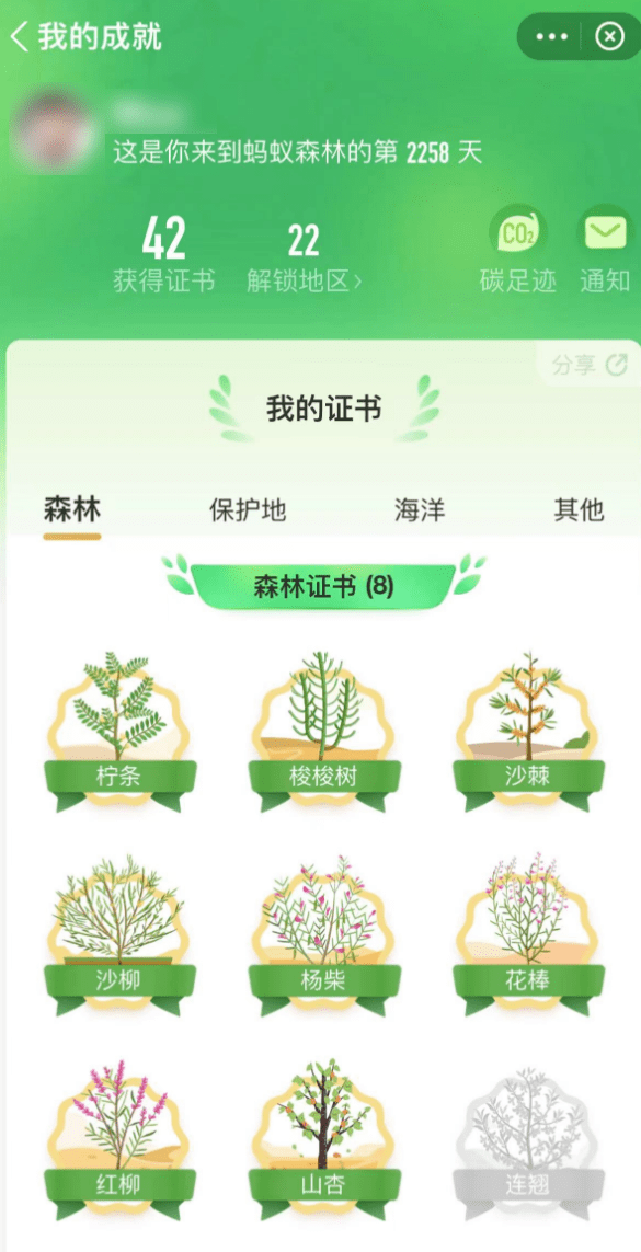 实服了，到底是谁还在付出宝里种树啊？