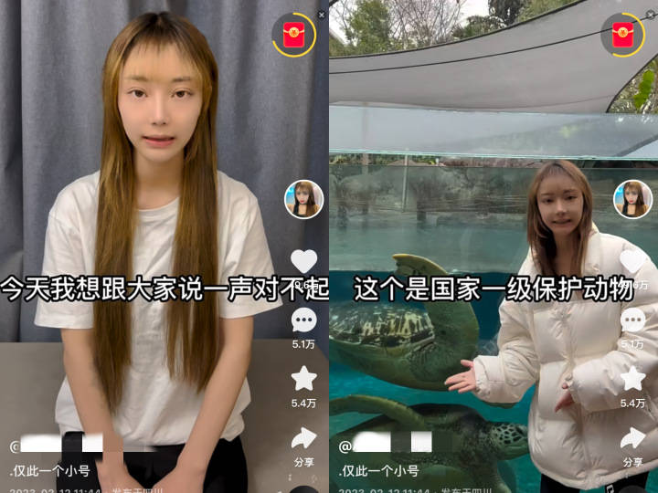 烹食噬人鲨网红博主“复出”道歉：被商家骗了，在学习海洋知识
