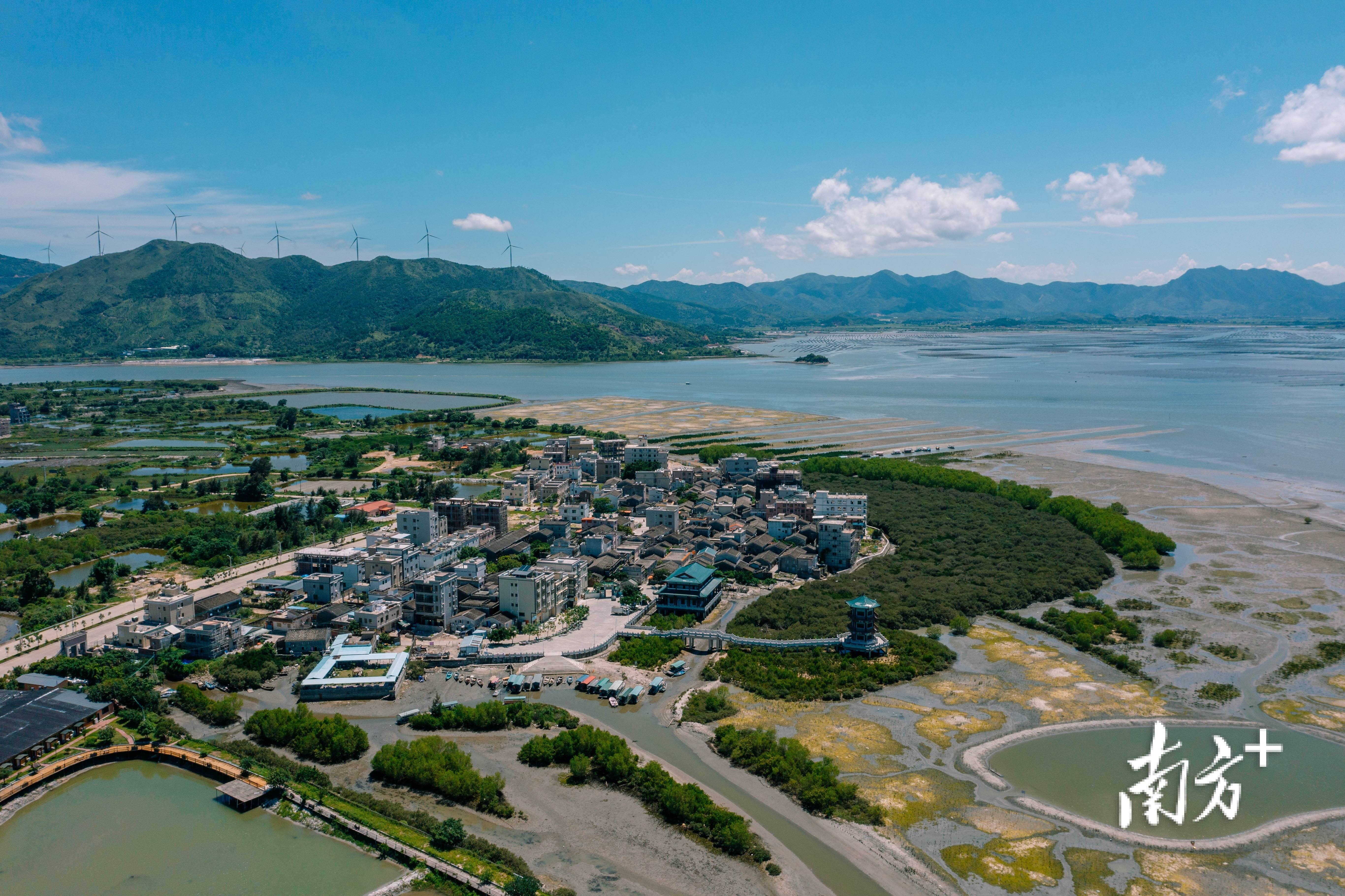 绿美广东看惠州｜山川之城，所见皆景