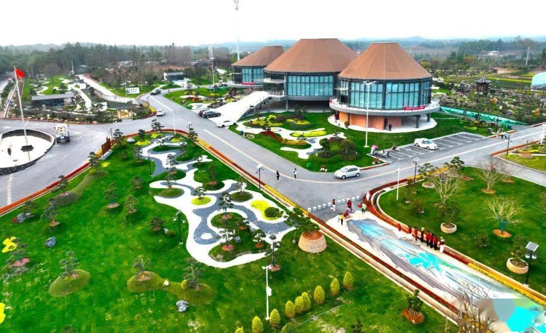 奉新县:积极盘活竹资源 大力发展竹产业_竹林_模式_毛竹