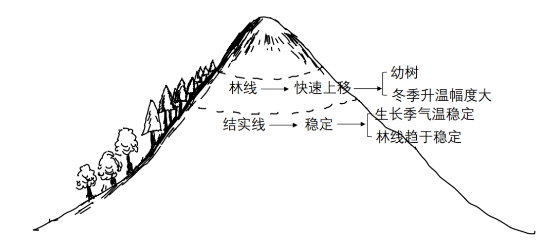 大型空气涡旋—气旋,反气旋与锋面气旋,雪线和林线你掌握了吗?