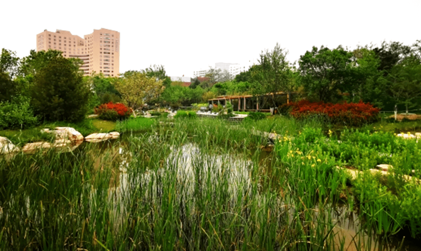 小湿地大生态——北京小微湿地庇护修复示范建立项目理论 | LA理事风度