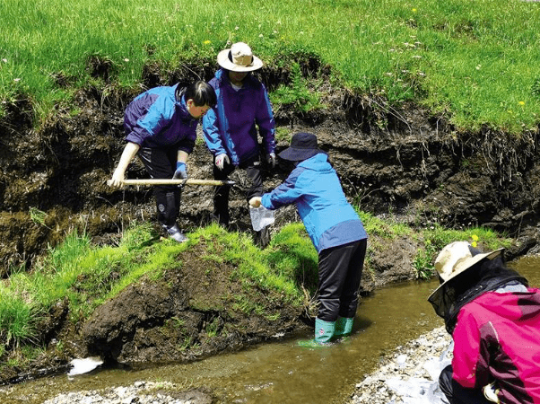 金城不雅丨倾慕庇护 百鸟翔集山川金城