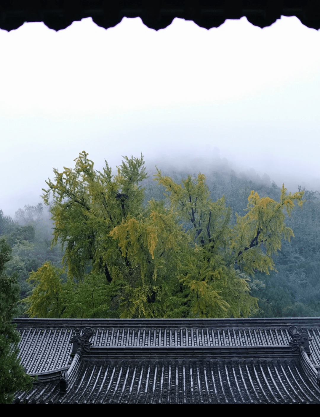 在陝西,等一場雨_寶雞_商洛_西安