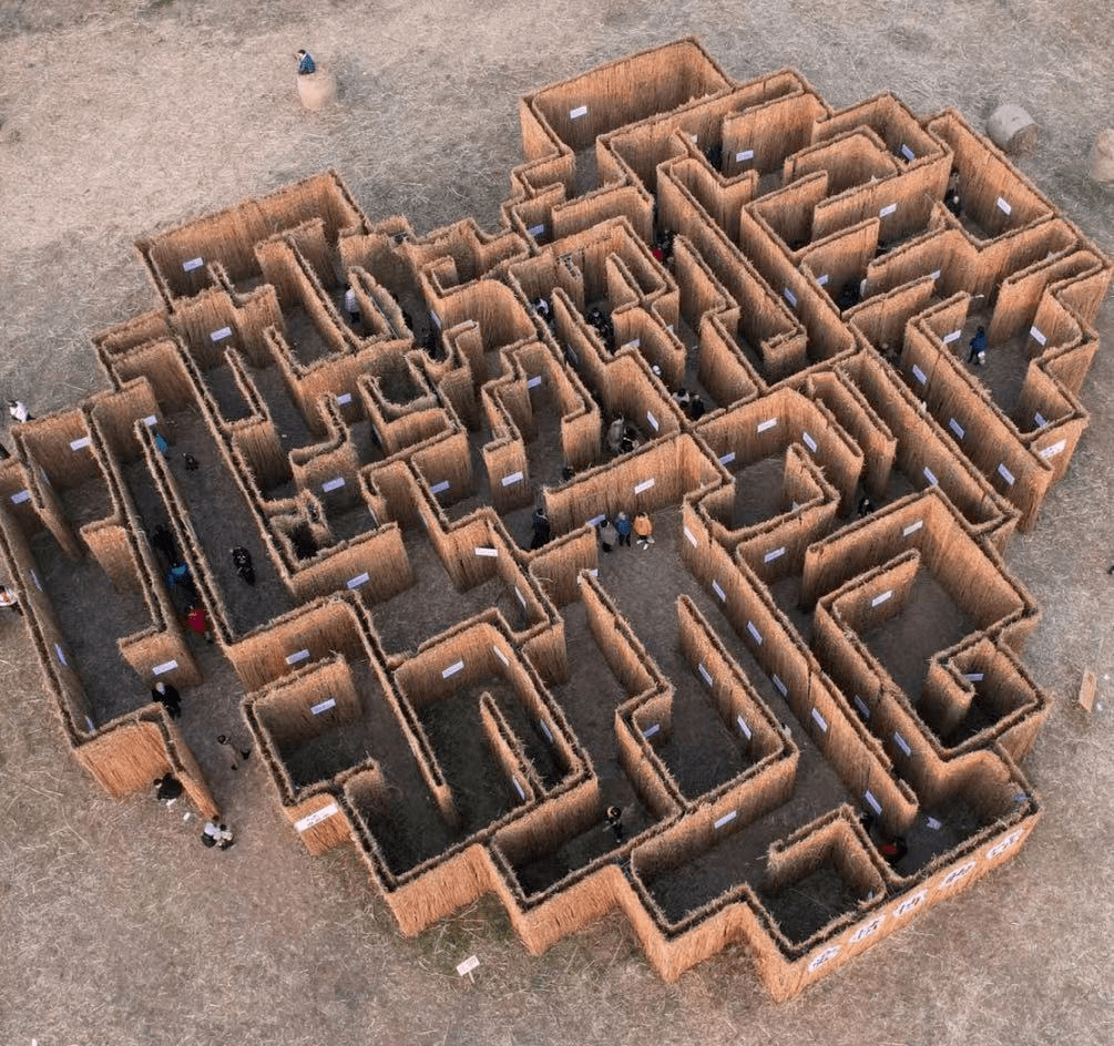 可是又撞见一座迷宫巨齿鲨张开大嘴向你露出了獠