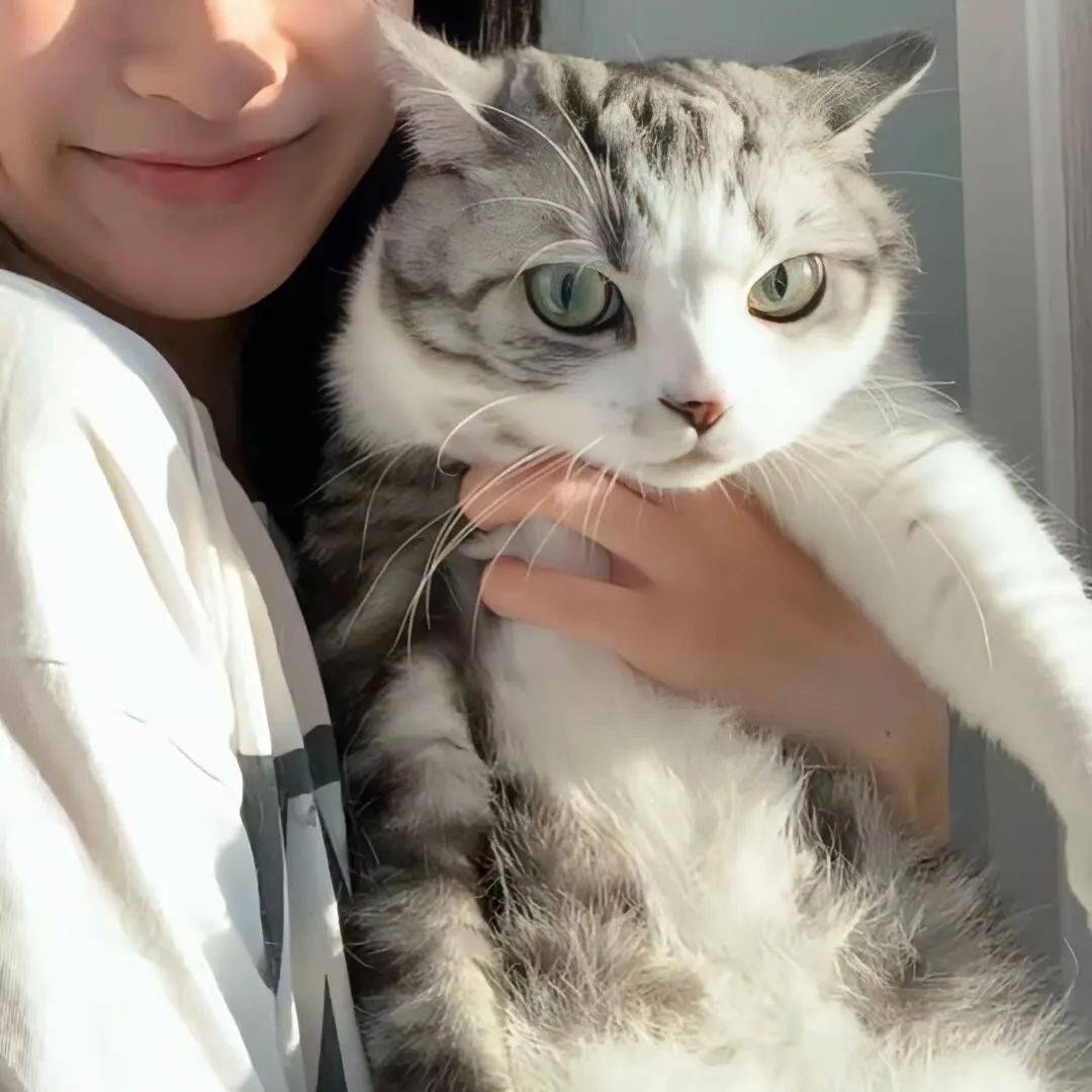 真人情头丨1800的窝囊费能不能早点给_表示歉意_万物_图片