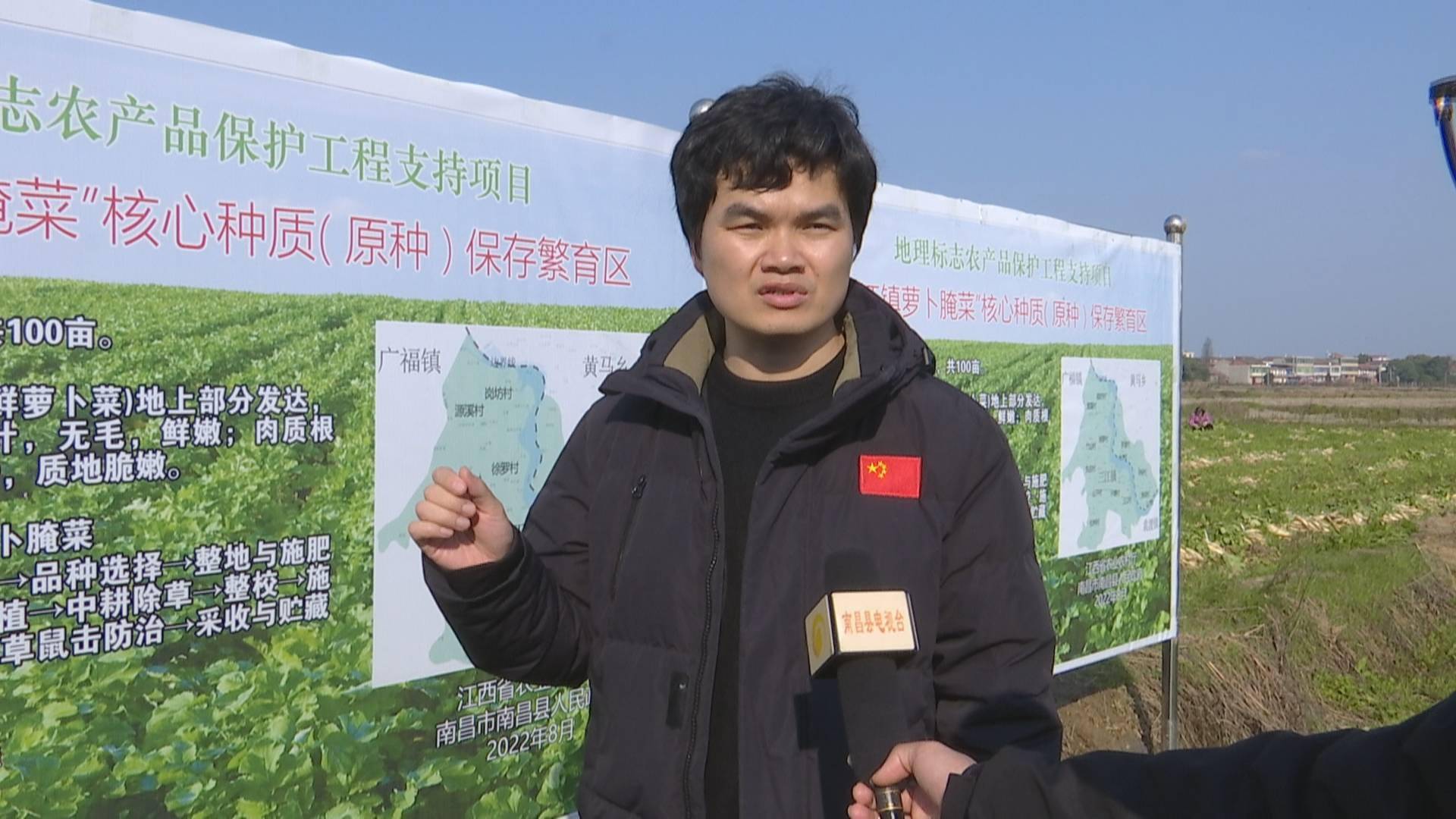 南昌县:特色产业助推村民增收致富_三江镇_种植_萝卜