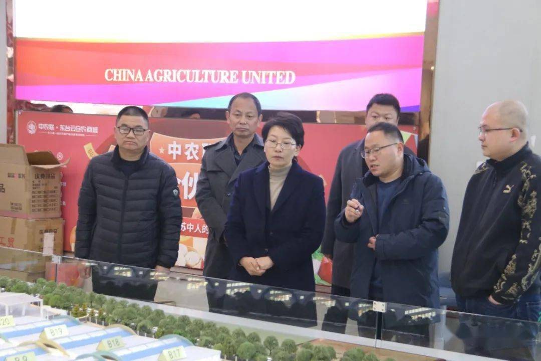 副市长陈丽珺来五烈镇调研_项目_有关_规划