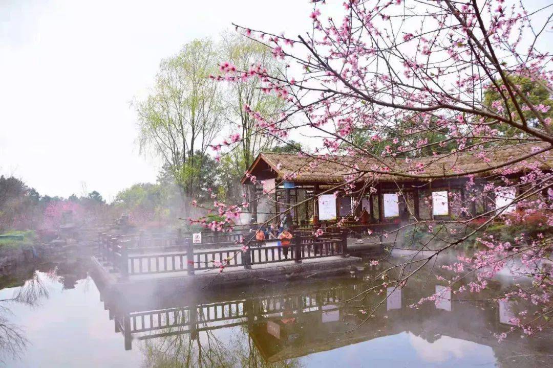自贡尖山桃花会来了!满屏花海,在这里→_风景区_互动_花神